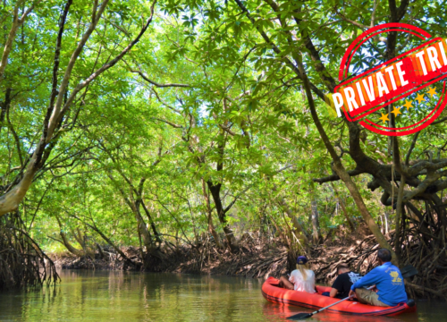 Khao Sok Day Tour with Elephant Support. (Private Trip)