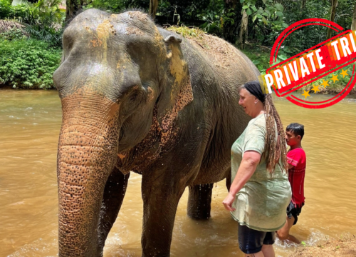 Khao Lak Safari – Elephant bathing and Bamboo rafting ( Private Trip )