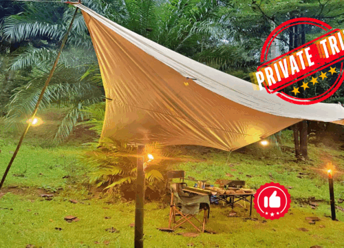 Khao Sok Half-Day / Half-Night Jungle Escape (Private Trip Min 2 Pax)