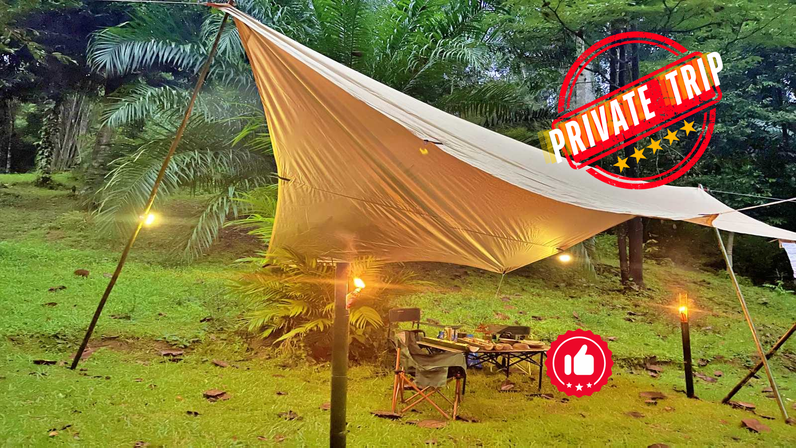 Khao Sok Half-Day / Half-Night Jungle Escape (Private Trip Min 2 Pax)